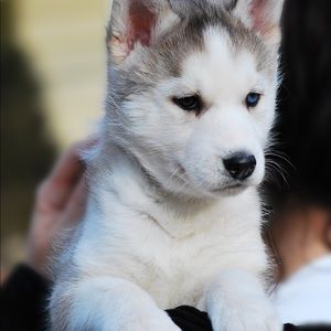 Meet your Posher, Bree